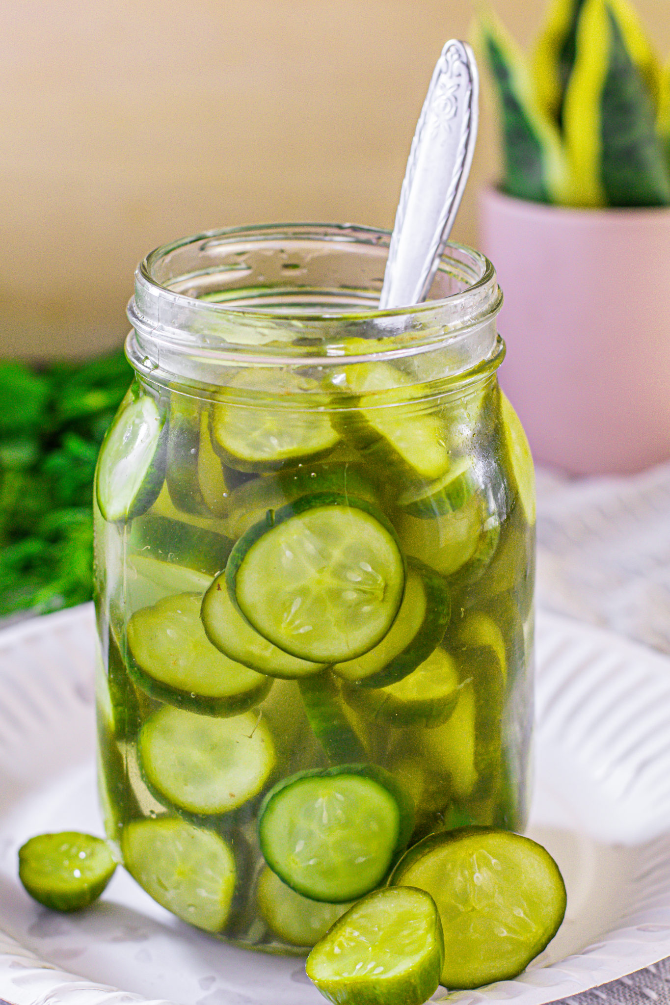 Quick Pickled Cucumbers - Written By Vegan